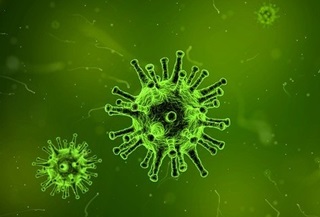 Pandemia